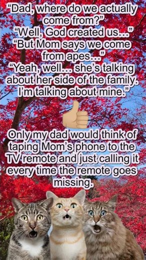 This Punchline Is Crazy 😆 #funny #shorts