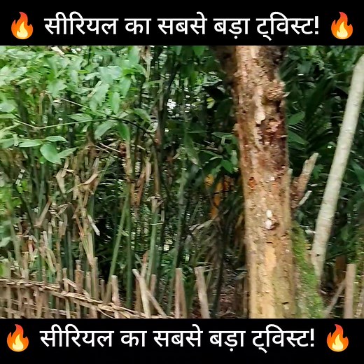 39K views · 1.1K reactions | Arya-Anu's marriage is confirmed, Meera's heart is broken! | Creative Entertain | Facebook