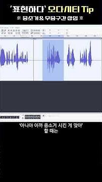 [오다시티 편집] '음소거'와 '무음 삽입' (컷편집의 모든 것) #오다시티 #Audacity #음소거 #무음 #무음구간삽입
