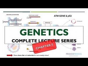 Genetics Chapter 5 | Non-Mendelian Inheritance: Codominance, Polygenic Traits & More