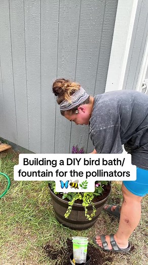 DIY Bird Bath for Pollinators and Wildlife