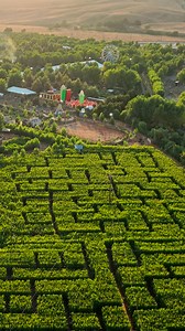 #ad Live Oak Canyon Farm, the Largest Pumpkin Patch in So Cal, Now Open ENTER TO WIN $40 Rides & Attractions Farm Cards. Fun includes: Corn Maze - Petting Zoo - Rides - Games - Shows - Food/Drinks – Fall Photo Ops - U-Pick Pumpkins & more | Orange County Register