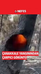153K views · 1.7K reactions | Çanakkale’deki orman yangınına müdahale eden İBB İtfaiyesi ekiplerinden gelen çarpıcı görüntü. | Nefes Gazetesi | Facebook
