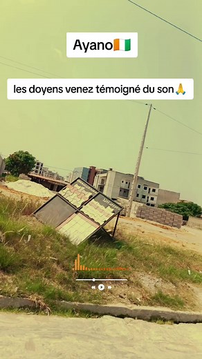 Musique Ivoirienne des Années 2000 : Ayano