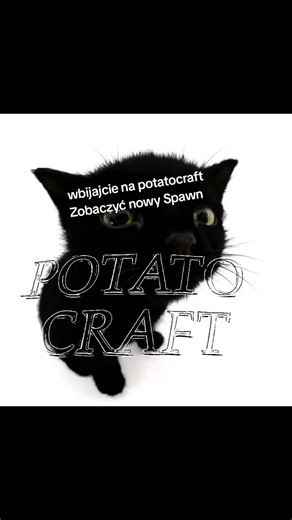 #potatocraftminecraft #minecraft #fyp #polska #wybijsie IP do serwera w bio
