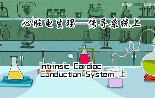 3.【心脏电生理】Cardiovascular -Intrinsic Cardiac Conduction System 上