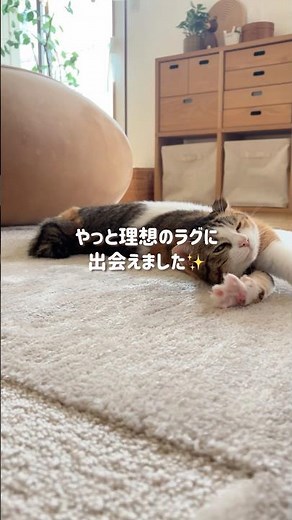 【インテリア】北欧ナチュラルインテリア🍀理想のラグに出会えたおはなし🌷 #北欧ナチュラル #暮らしチャンネル #インテリア #マイホーム #ラグ#unico