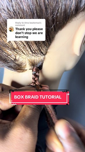 Step-by-Step Box Braids Tutorial for Beginners