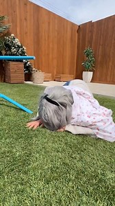 142K views · 396 reactions | Saving a Cat with the Whole Family #123go | 123 GO Shorts | Facebook