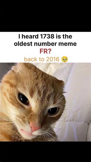 1738 oldest number meme?
