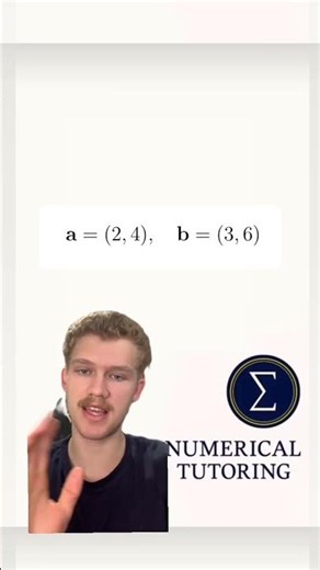 Parallel Vectors Explained (How to Tell if Vectors Are Parallel)