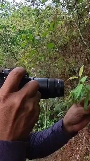 aprendiendo a tomar fotos macro