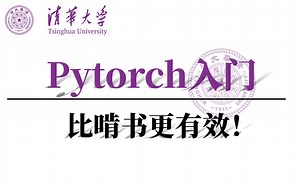 强推！【Pytorch深度学习】这可能是2025年最强Pytorch入门教程！真的通俗易懂！建议收藏！（pytorch安装、pytorch快速入门、）