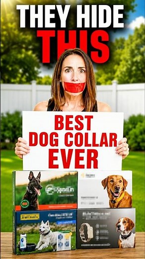 We Tested 4 GPS Dog Fences — 2 Failed Completely