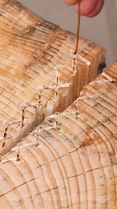 Stitching Up Wood! | Science, Tech and Universe