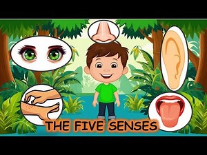 The Five Senses for Kids | Fun Science for Grades 1, 2, and 3