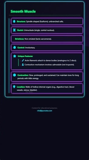 Smooth and Cardiac Muscle: Unique Characteristics and Contraction