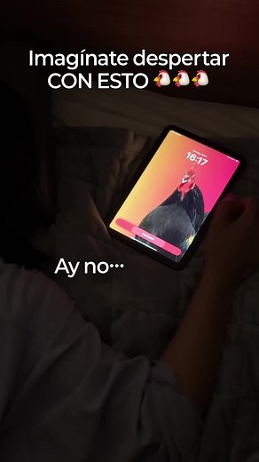 TikTok의 Alarmy_official