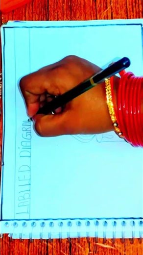 Zones of candle flame chart😘😘Candle Flame Diagram Drawing