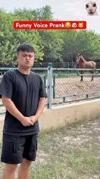 Funniest Animal Voice Trolls Ever | Chinese Guy Voice Prank with Dogs