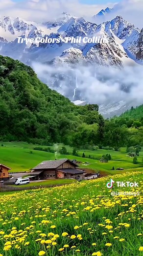 Phil Collins - True Colors Lyrics Explained