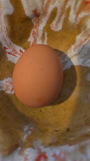 Frederick C Spaulding on Instagram