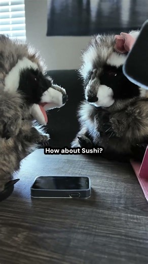 What Being Married Looks Like #marriedlife #raccoon #puppets #funny #furry #singing #raccoonvideos