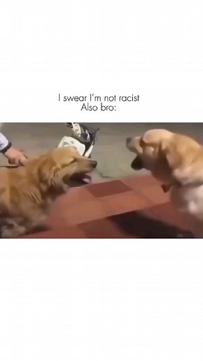 meowzillaaaah on Instagram: "Tag that bro 🤣 TESLA CYBERTRUCK BEATS A PORCHE 911 WHILE TOWING A 911After a long, long wait, the Tesla Cybertruck's deliveries have finally commenced. The unorthodox-looking electric pickup truck is priced from $60,990 (INR 50.82 lakh) to $99,990 (INR 83.3 lakh) - which is well over 50% more than what CEO Elon Musk had claimed in 2019. Nonetheless, the Cybertruck boasts performance figures that can put even some supercars to shame!Musk has shared a video of 