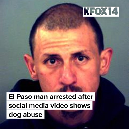 DOG ABUSE: The El Paso Police Department's Animal Cruelty Investigations Unit launched an investigation following a social media post depicting a man punching and throwing a dog to the ground. https://bit.ly/49zfxRV credit: National Security Inc | KFOX-TV
