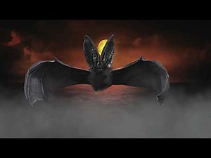 The soothing Sound of Bats at Night. Bats Ambience