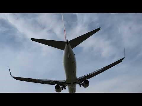 JAL 737-800着陸