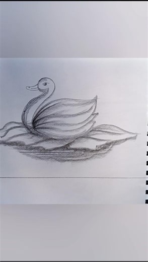 swan sketching drawing #shorts
