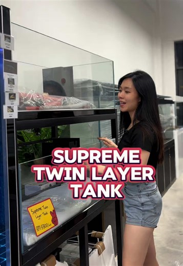 Supreme Twin Layer Tank Review: 4ft x 2ft