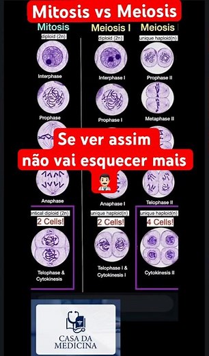 Mitose ou Meiose? Aprenda as Diferenças de Vez! 🧫🔄 #medico #medicina #estudantedemedicina