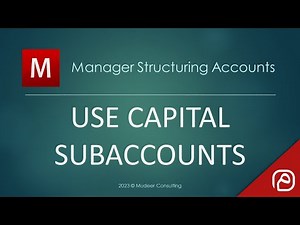 Manager.io Guides 19 Use capital subaccounts