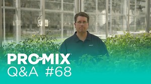 Why is the ideal pH of PRO-MIX lower than soil? | PRO-MIX Greenhouse Growing