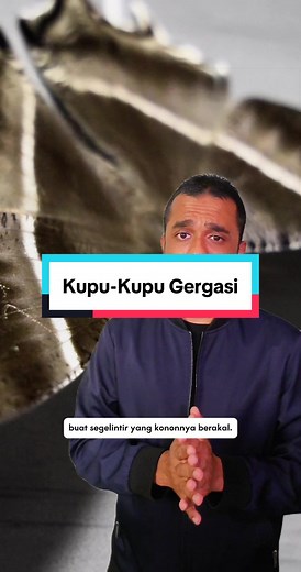 Bukan selalu kupu-kupu masuk rumah, tambah swallowtail moth yang besar ni. #moth #kupukupu #serangga #biologi #sains