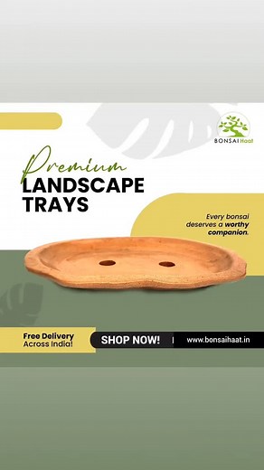 Order ceramic Bonsai pots and Trays from anywhere in India... At The Bonsai Haat Visit www.bonsaihaat.in Follow and like our page The Bonsai Haat Contact for Bulk orders 9340957839 ❤️❤️Order Now to get amazing Pots in Amazing Prices with free shipping and forwarding charges 🙂 #bonsai #buybonsai #bonsailife #bonsailovers #buybonsaionlineinindia #bonsaiinraipur #bonsaipots #thebonsaihaat #raipur #ordernow | The Bonsai Haat