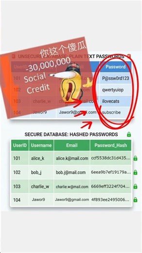 Hackers Don’t See Your Password – Hashing Explained