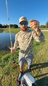 Gummy worms catch big fish! And my Titan by Arctic Zone 24 Can Ice Wall Backpack Cooler keeps drinks and snacks cold all day! #BackpackCooler #Cooler #Titan #Arcticzone #fishing | Ryan Iz Fishing