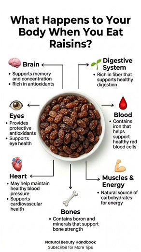 Health Benefits of Raisins: What Happens When You Eat Them?