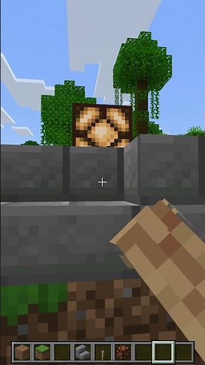 The Best Secret Entrance in Minecraft Bedrock