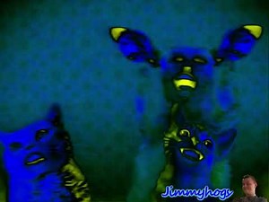 Preview 2 Numa Cat 2 Effects in Horror Effect 1.0