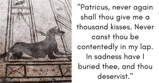 8 touching epitaphs written by ancient Greeks and Romans mourning their late dogs