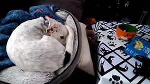 On... Off... https://imgur.com/gallery/qfdQZVk | Imgur