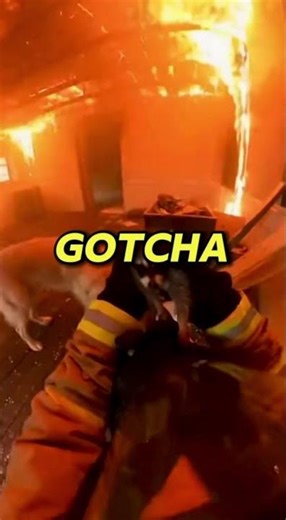 The House Exploded — Then the Dog Did THIS