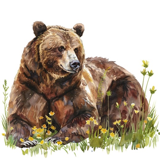 5X Grizzly Bear Stickers Realistic Bear Car Stickers Wilderness Nature Vinyl Waterproof Laptop Decoration Forest Animal Gift - Etsy