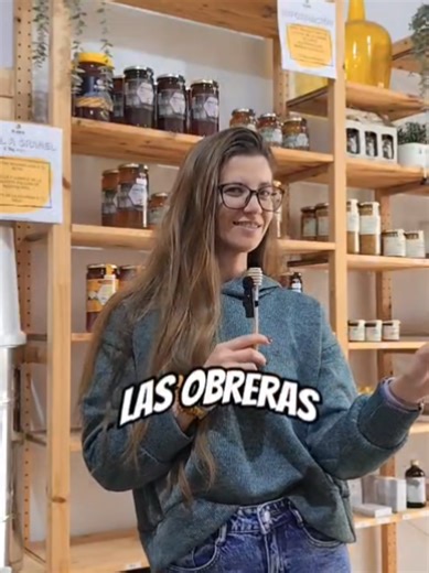 🐝LAS OBRERAS 🐝 Las abejas obreras son las más numerosa de la colmena y cumple prácticamente todas las tareas necesarias para su funcionamiento. ¿Sabías que son hembras no fértiles? #apicultura #empresafamiliar #abejas #abejaobrera #colmena