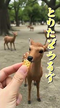 【POV絶景】📸 日本で最も美しい場所15選を巡る旅！知られざる裏側