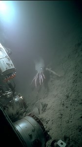 They dropped a camera into the abyss — and regretted it The Unexplained Things Found in the Mariana Trench #mystery #marianatrench #unsolved #strange #deepsea | Life's Biggest Questions